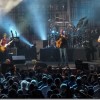 Dave Matthews shows who’s king of the anthill