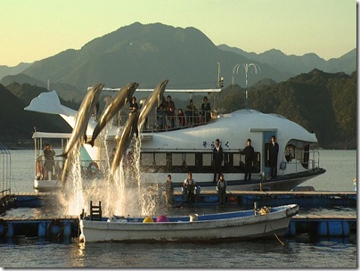 Dolphins leap near boats in a scene from The Cove.