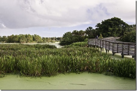 The Green Cay Nature Preserve is west of Delray Beach. 
