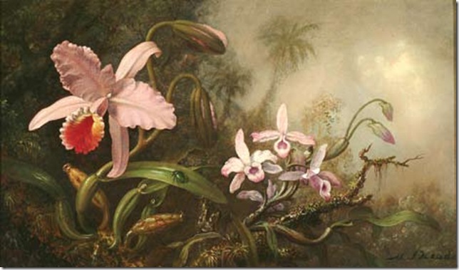 Large and Small Orchids With a Beetle (1875-90), by Martin Johnson Heade. 