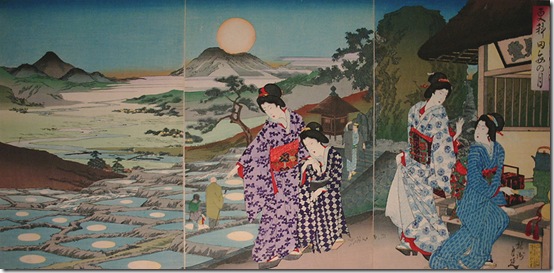 Moon Viewing over Sarashina Rice Fields (1891), by Yoshu Chikanobu 