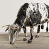 The 2011-12 season in Palm Beach art: Ghosts, gods, bodies and wildlife
