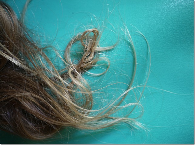Knot in My Hair, Collaborating With the Wind (2012), by Nellie Appleby.