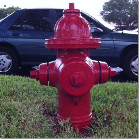 Johnny Pump, the fire hydrant that led to the book.