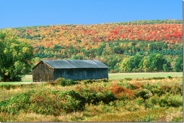 Barn near Deerfield, Mass., in autumn. (Photo by Massachusetts Office of Travel and Tourism)