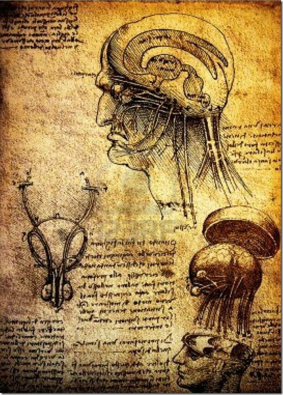 Studies of the human brain and nervous system (1504-06), drawings by Leonardo da Vinci.