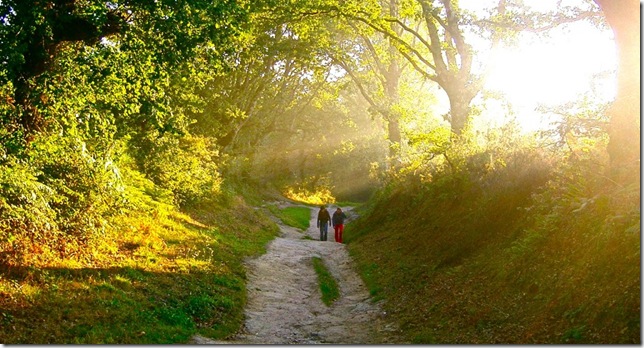 Pilgrims on the Camino de Santiago.