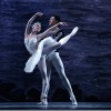 Moscow City Ballet makes mess of Tchaikovsky’s ‘Swan’