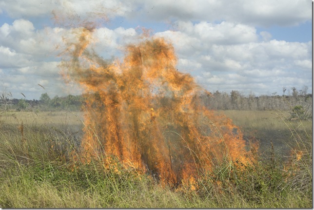 Fire (2014), by Jim Goldberg and Jordan Stein.