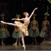 Leading dancers to star in Boca Ballet’s ‘Sleeping Beauty’