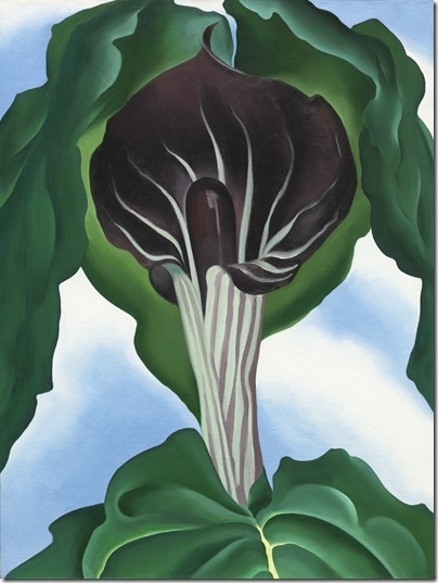 Jack-in-the-Pulpit No. 3 (1930), by Georgia O’Keeffe.