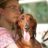 Amid sadism of ‘Wiener-Dog,’ Solondz finds meaning in mortality