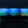 At the Norton: Underwater Giverny is fresh take on Monet