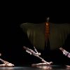 Momix’s ‘Opus Cactus’ stuns, but only intermittently