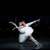 MCB’s ‘Swan Lake’: A monumental feather shakeup