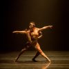 Complexions ballet troupe astonishes as its widens dance audience