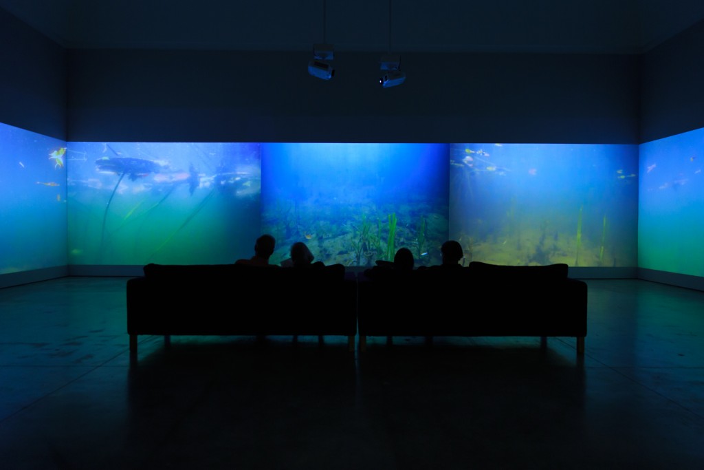 At the Norton: Underwater Giverny is fresh take on Monet